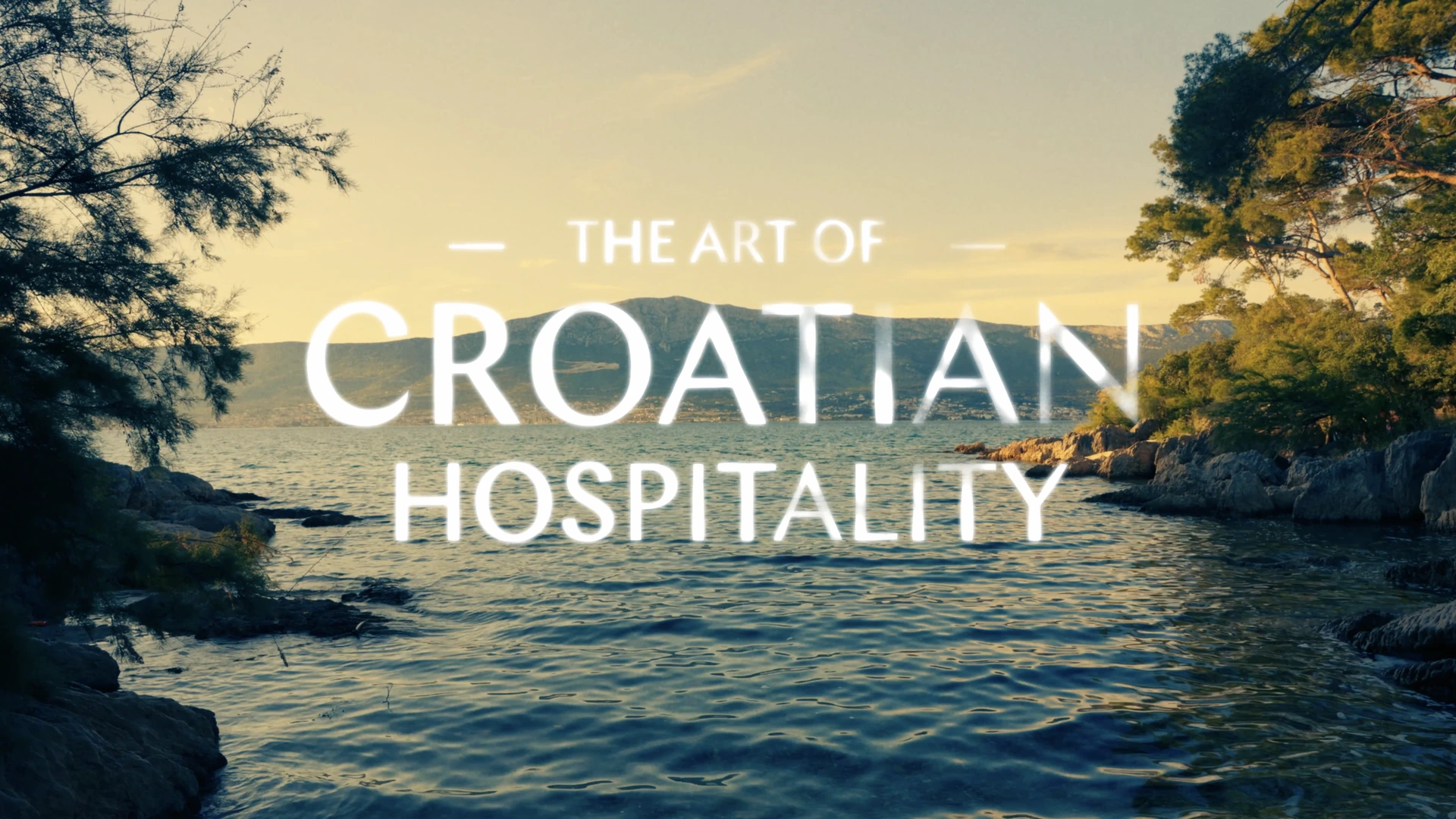 Story of VHB — kadar iz filma